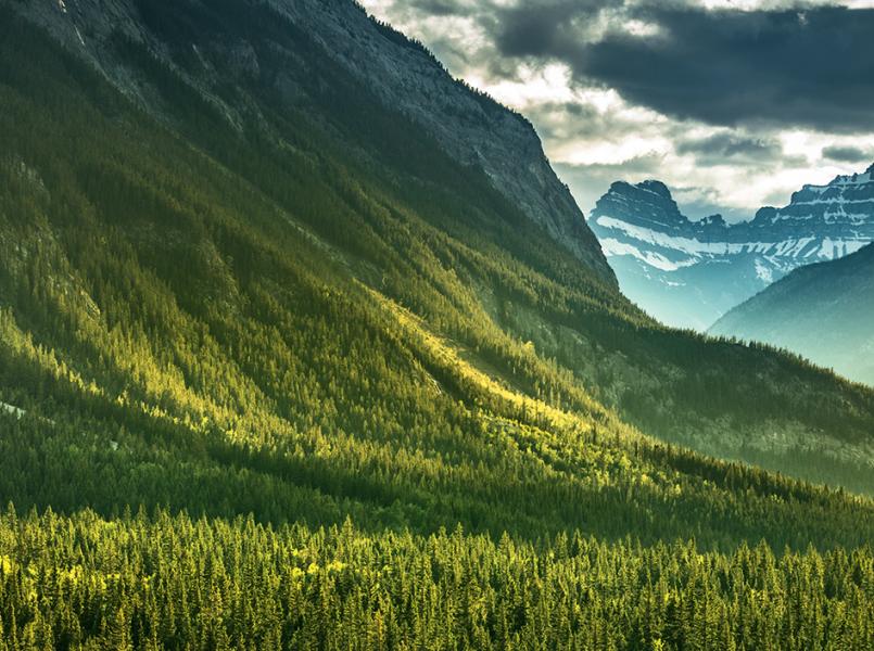 gerflor-conception-duree-de-vie